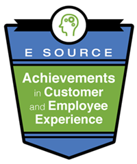 This is the logo for the E&nbsp;Source Achievements in Customer and Employee Experience awards